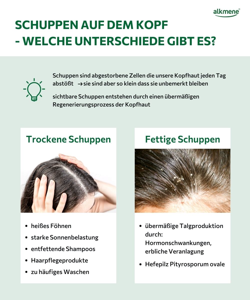 Trockene und fettige Schuppen - Was sind die Unterschiede und wie entstehen sie?