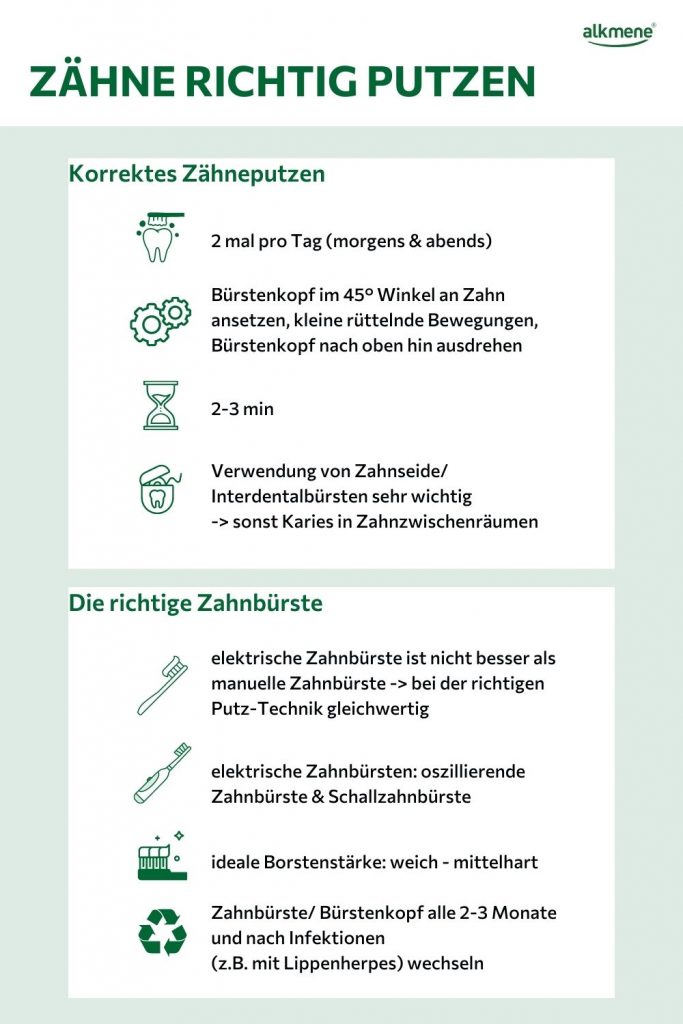 Infografik Richtiges Zähneputzen: Darauf solltest du achten, wenn du deine Zähne richtig putzen möchtest