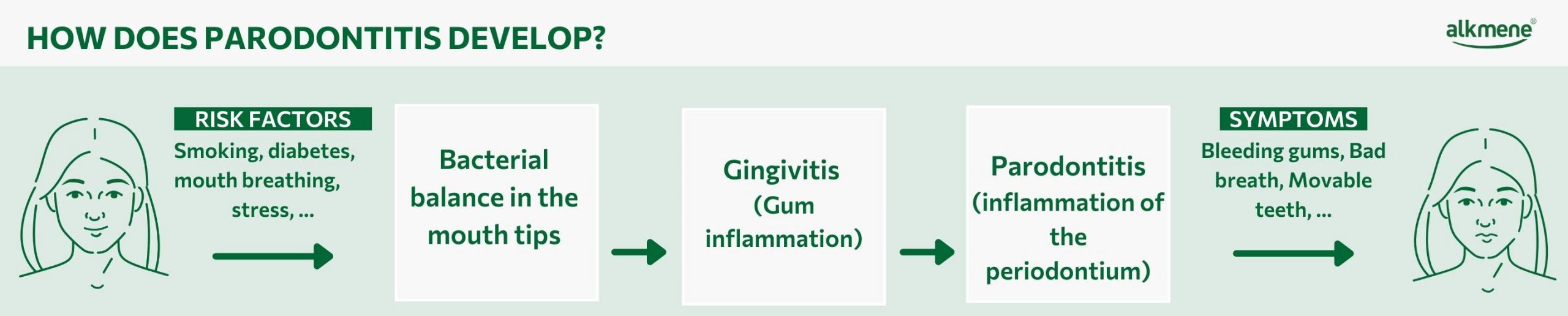 infografic on the development of parodontitis