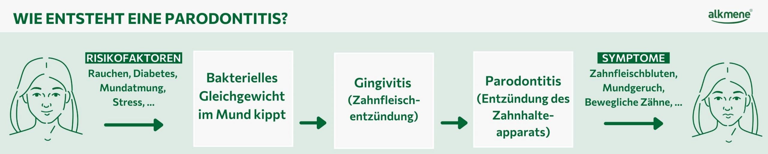 Infografik zum Thema Entstehung von Parodontitis
