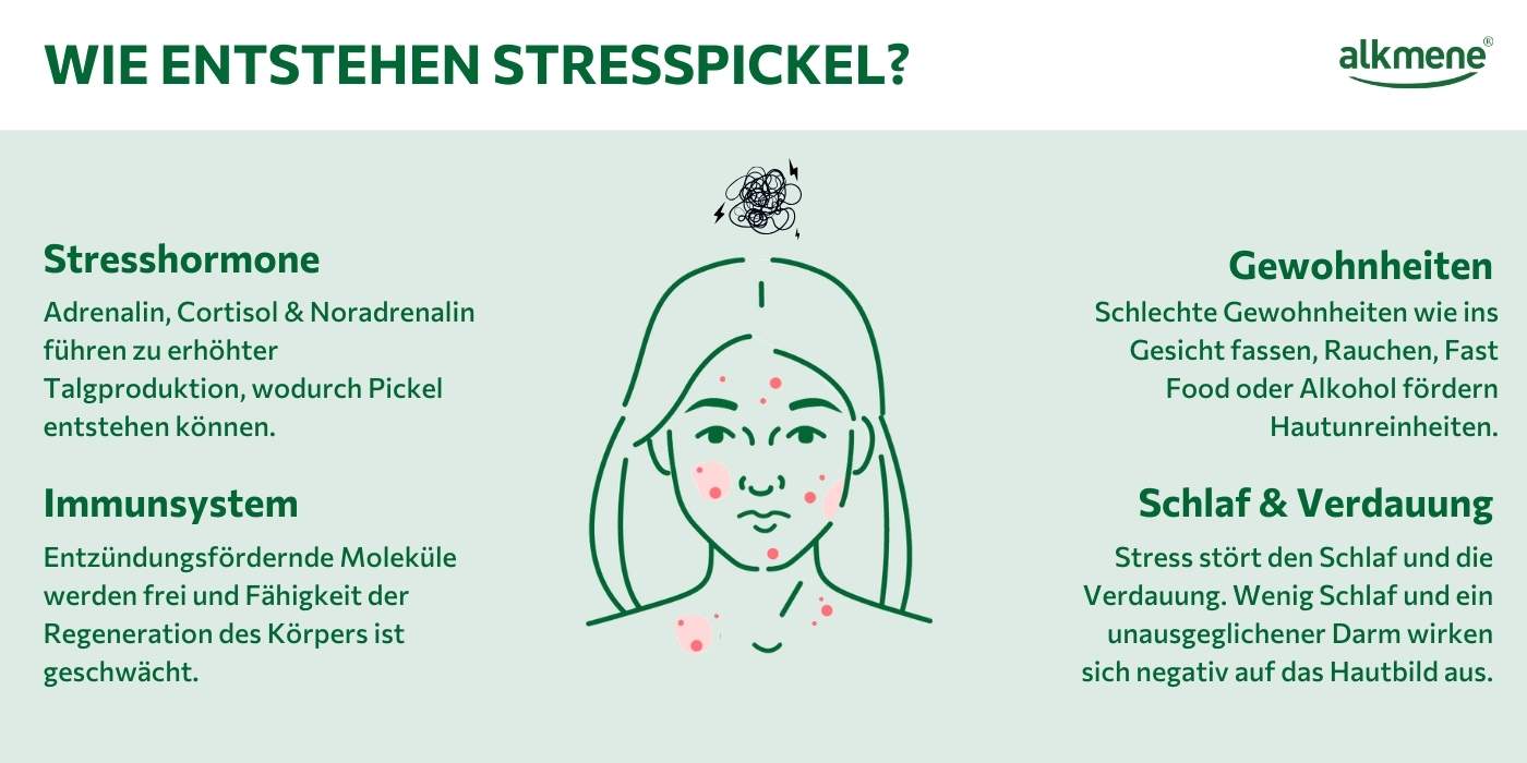 Infografik durch welche Faktoren die Entstehung von Stresspickeln beeinflusst wird